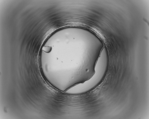 X0000095901283200802081132