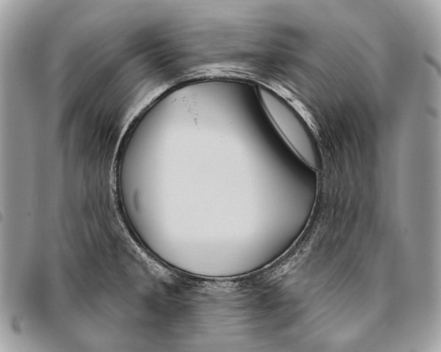 X0000095901285200802081132