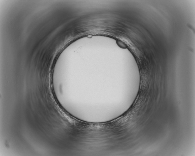 X0000095901286200802081132