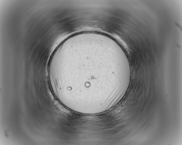 X0000095901287200802081132