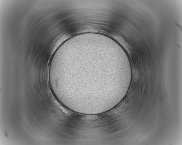 X0000095901290200802081132