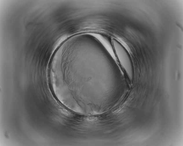 X0000095901291200802081132