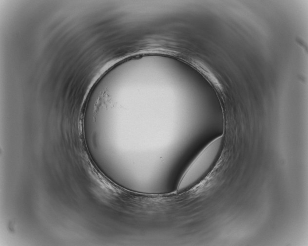 X0000095901292200802081131