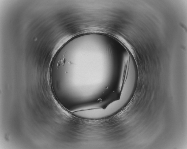 X0000095901293200802081131