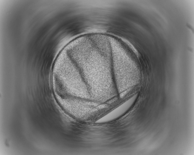 X0000095901295200802081131