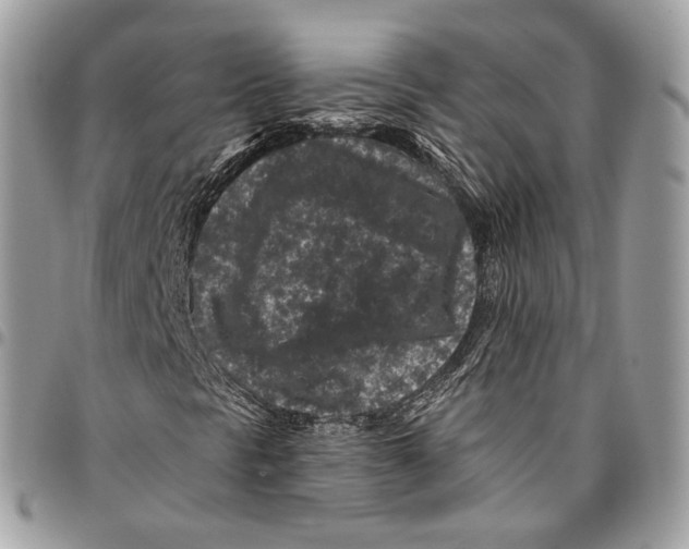 X0000095901297200802081131