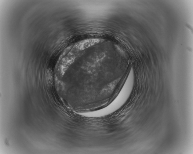 X0000095901298200802081131