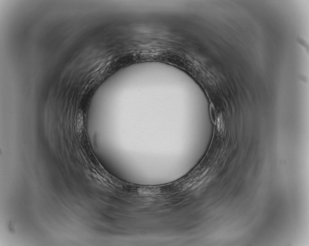 X0000095901299200802081131