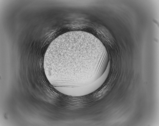 X0000095901300200802081131