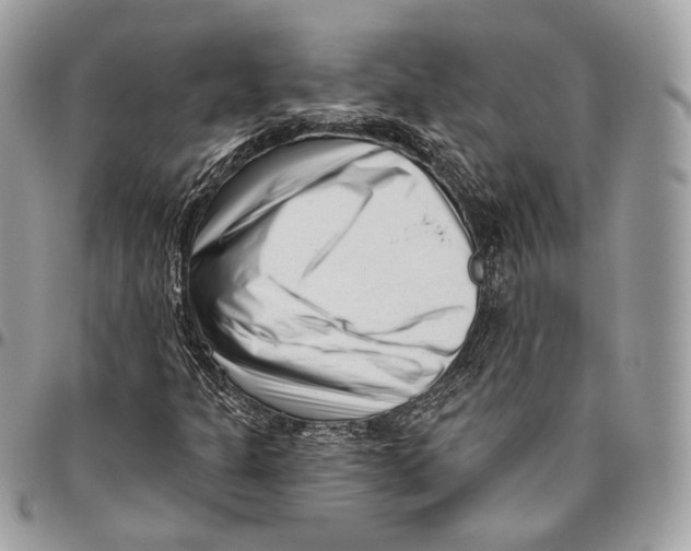 X0000095901301200802081131