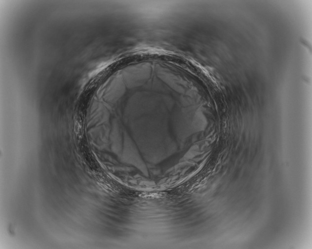 X0000095901303200802081131