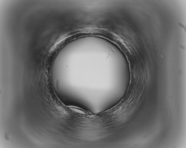 X0000095901304200802081131