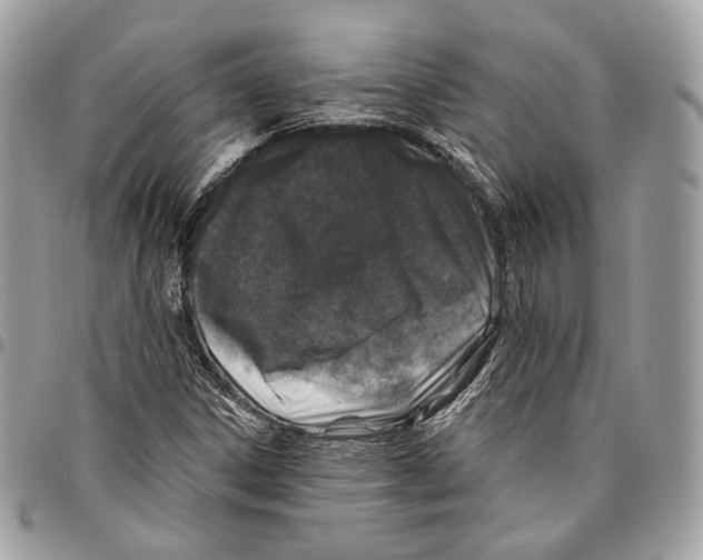 X0000095901306200802081131