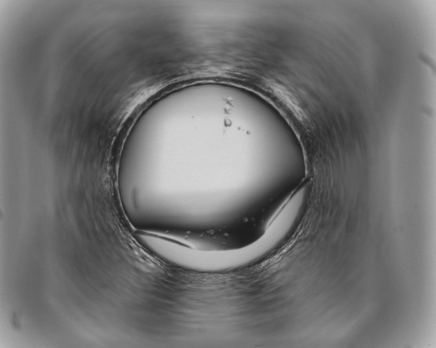 X0000095901308200802081131