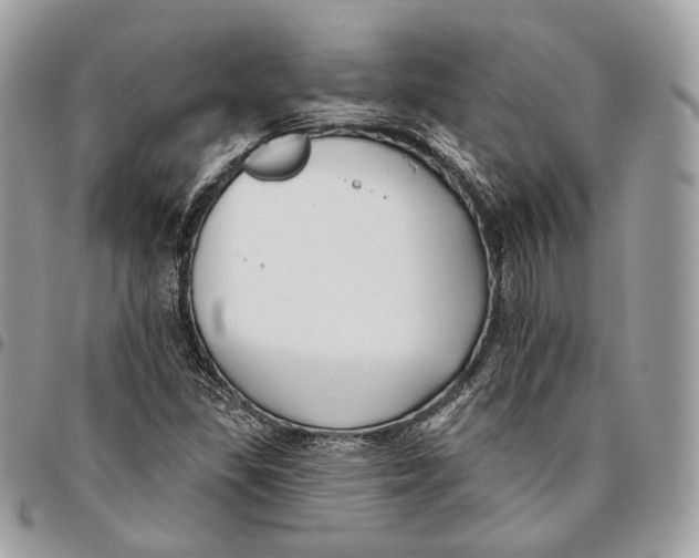 X0000095901309200802081131