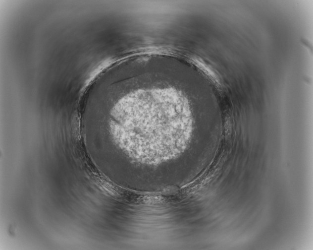 X0000095901310200802081131