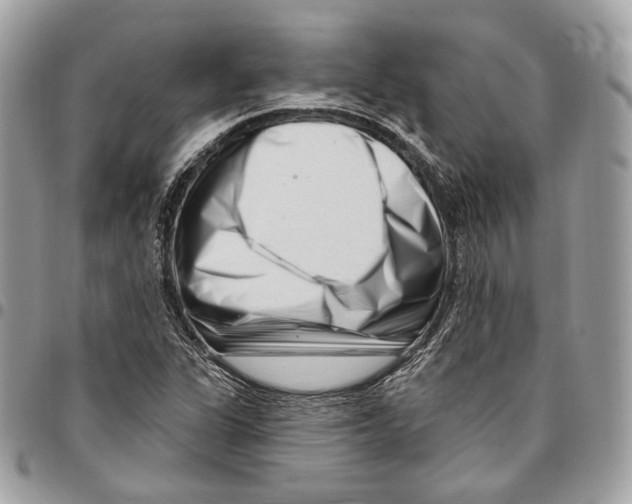 X0000095901311200802081131