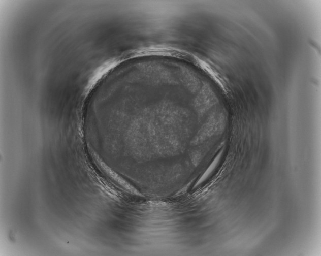 X0000095901312200802081131