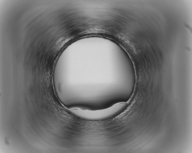 X0000095901313200802081131