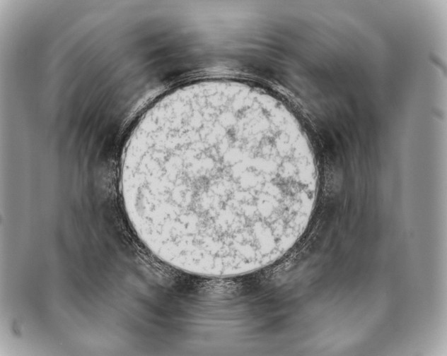 X0000095901314200802081131