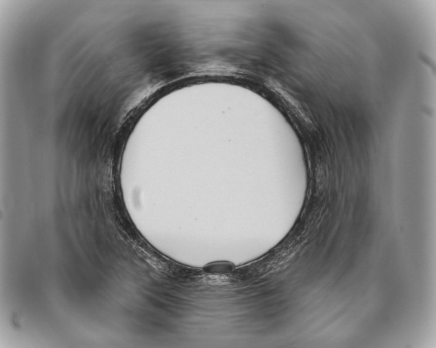 X0000095901315200802081131