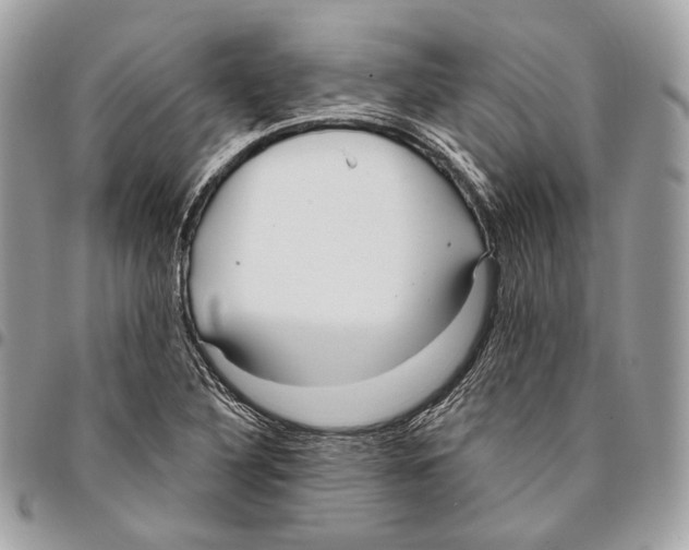 X0000095901316200802081131