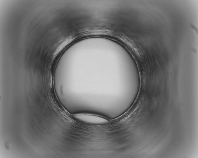 X0000095901317200802081131