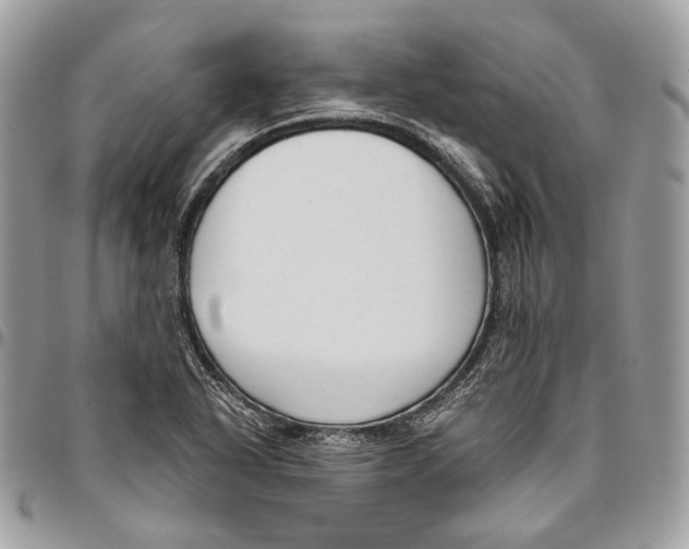 X0000095901318200802081131