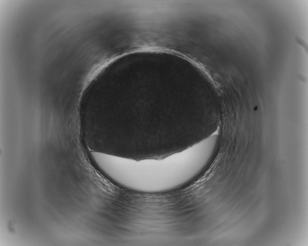 X0000095901319200802081131