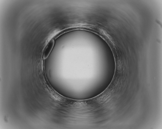 X0000095901320200802081131