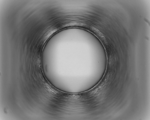 X0000095901321200802081131