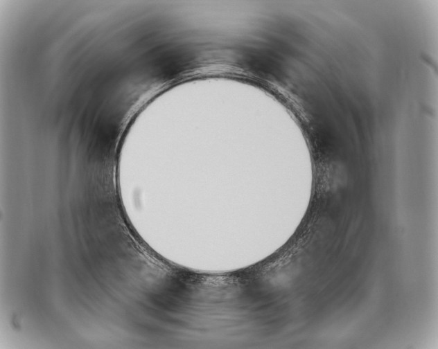 X0000095901322200802081131