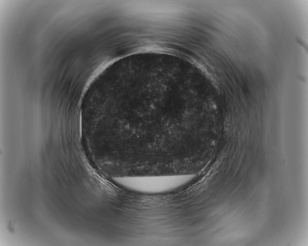 X0000095901323200802081131