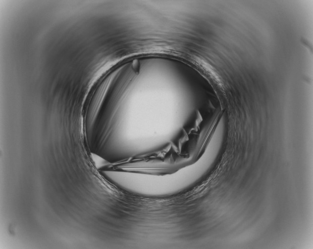 X0000095901324200802081131