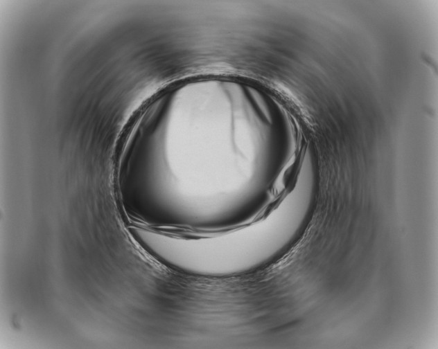 X0000095901326200802081131