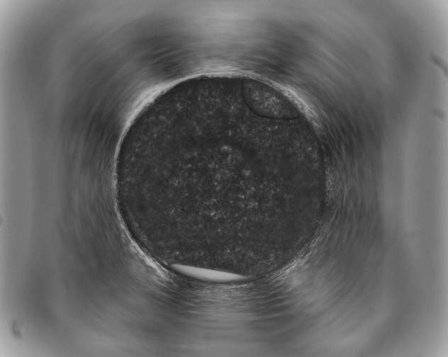 X0000095901327200802081131