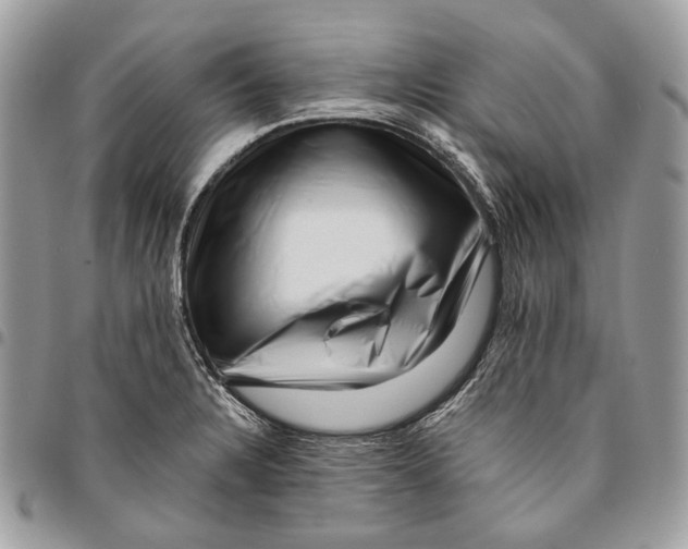 X0000095901328200802081131