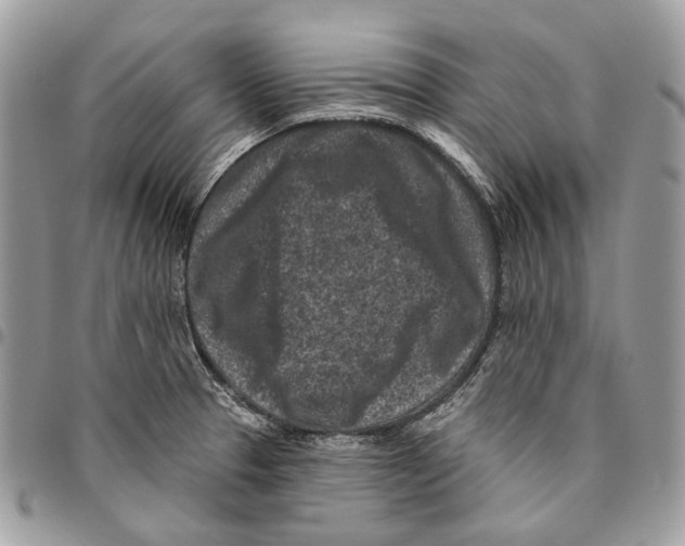 X0000095901329200802081131