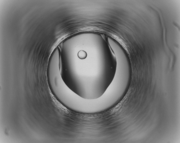 X0000095901330200802081131