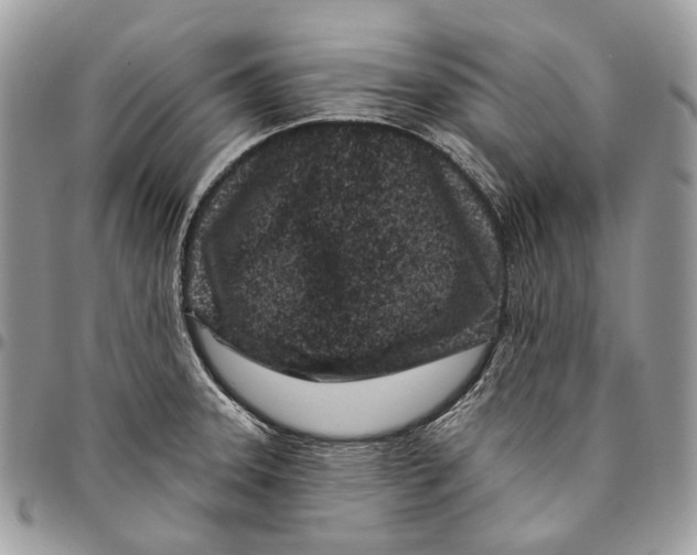 X0000095901331200802081131