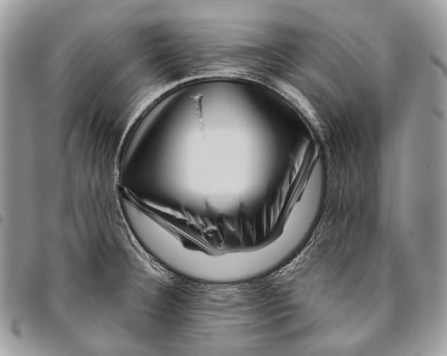 X0000095901332200802081131