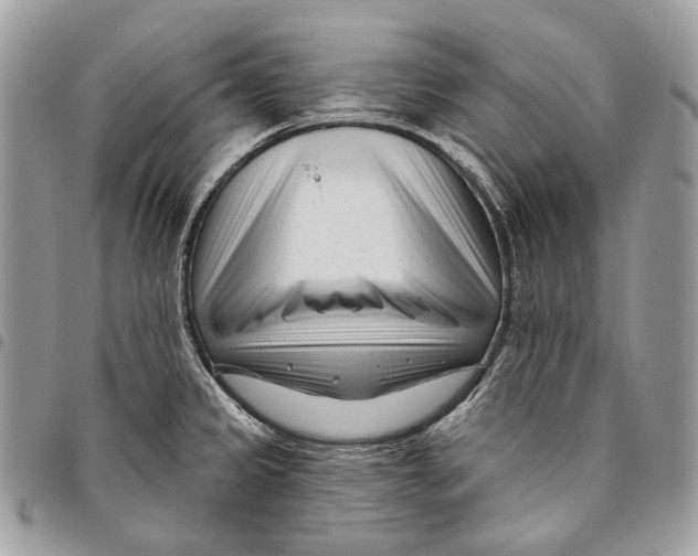 X0000095901333200802081131