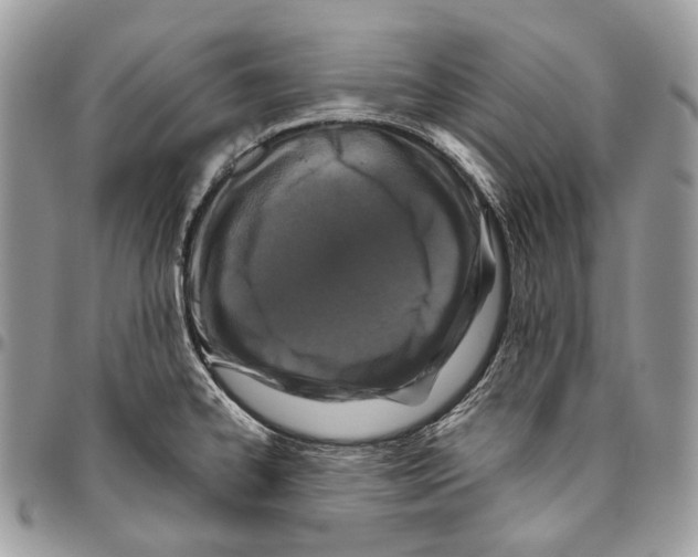 X0000095901334200802081131