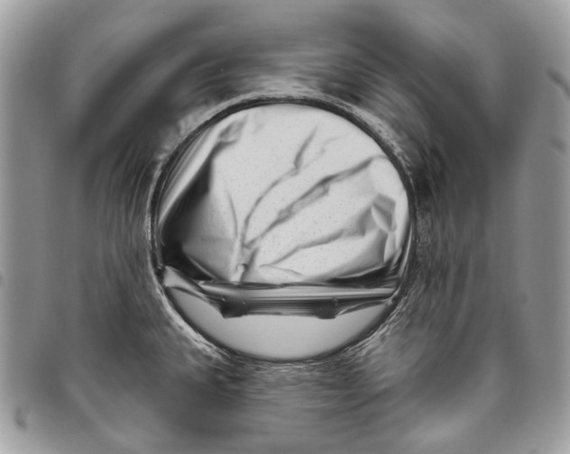 X0000095901335200802081131