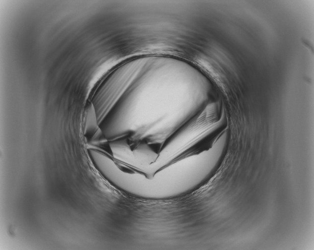 X0000095901336200802081131