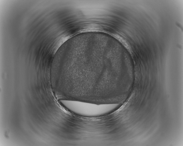 X0000095901337200802081131