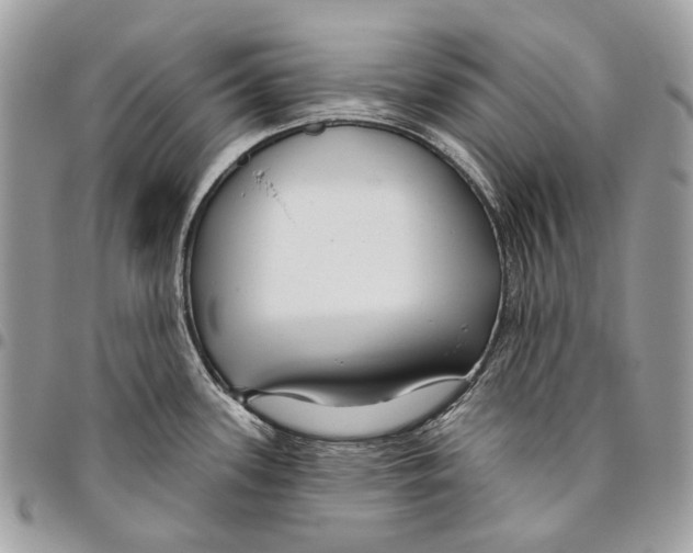 X0000095901339200802081131