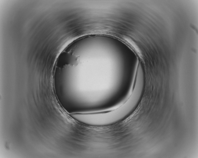 X0000095901340200802081131