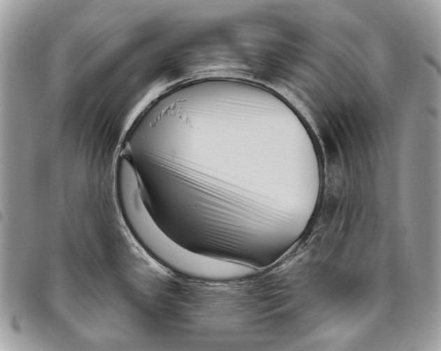 X0000095901341200802081131