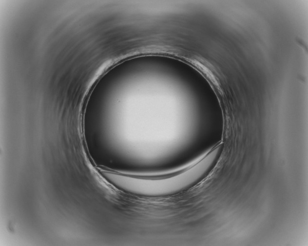 X0000095901342200802081131